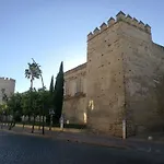 Duplex Ancha Con Wifi Y Parking Διαμέρισμα *