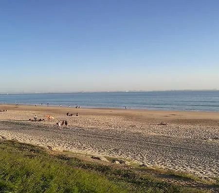 شقة Duplex Ancha Con Wifi Y Parking جيريز