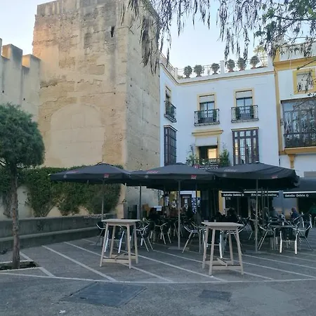 Duplex Ancha Con Wifi Y Parking * Jerez de la Frontera