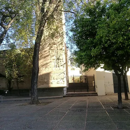 Duplex Ancha Con Wifi Y Parking Appartement *